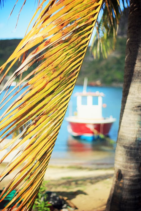 Les Saintes - Voyage paradisiaque - Guadeloupe