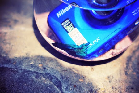 Nikon Coolpix S32 - Souvenirs aquatiques