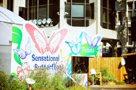 Exposition Sensational Butterflies - Londres