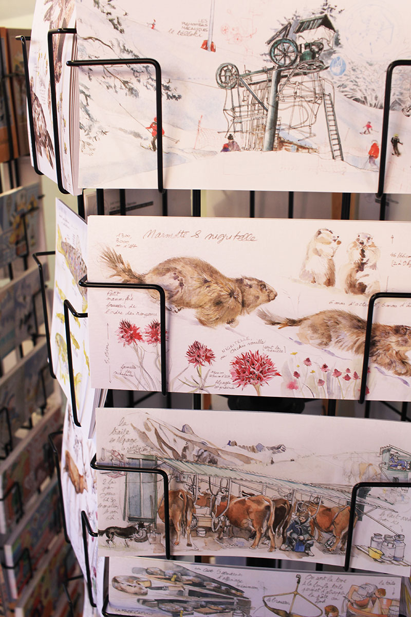 Cartes postales avec des marmottes trouvées à La Clusaz